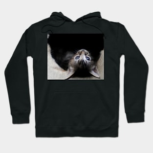 Hangin` Out Hoodie